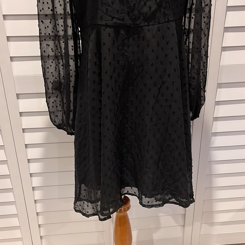 Lyaner Black gorgeous Dress in Swiss Dots Fabric. Long sheer Sleeves, lined. - Picture 6 of 8